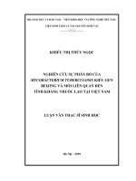 nghiên cứu sự phân bố của mycobacterium tuberculosis kiểu gen beijing và mối liên quan đến tính kháng thuốc lao tại việt nam