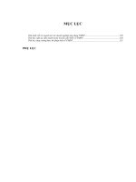 hoàn thiện tổ chức kế toán quá trình bán hàng trong các doanh nghiệp thuộc tổng công ty thương mại hà nội hapro