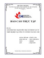 GIẢI PHÁP đẩy MẠNH TIÊU THỤ sản PHẨM bảo hộ LAO ĐỘNG tại CÔNG TY cổ PHẦN NGUYỆT ANH