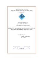 Nghiên cứu biện pháp sử dụng vi sinh vật để làm giảm nồng độ benzen trong nước thải