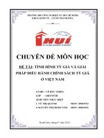TÌNH HÌNH tỷ GIÁ và GIẢI PHÁP điều HÀNH CHÍNH SÁCH tỷ GIÁ ở VIỆT NAM