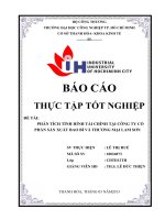 Phân tích báo cái tài chính công ty cổ phần sản xuất bao bì và thương mại lam sơn