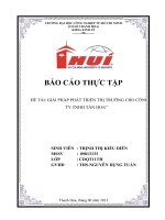 bài 2 GIẢI PHÁP PHÁT TRIỂN THỊ TRƯỜNG CHO CÔNG TY TNHH tân HOA