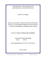 khả năng loại bỏ tác nhân phú dưỡng môi trường nước của cây ngổ trâu (enydra fluctuans lour) và cây bèo tây (eichhornia crassipes (mart.) solms)