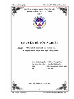 phân tích tình hình tài chính của công ty trách nhiệm hữu hạn hùng linh