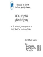 Phát triển sản phẩm nước ép bưởi dành cho phái đẹp “ beautiful lady” trong thị trường việt nam