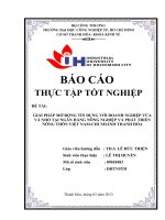 GIẢI PHÁP mở RỘNG tín DỤNG với DOANH NGHIỆP vừa và NHỎ tại NGÂN HÀNG NÔNG NGHIỆP và PHÁT TRIỂN NÔNG THÔN VIỆT NAM CHI NHÁNH THANH hóa