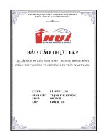 một số KIẾN NGHỊ HOÀN THIỆN hệ THỐNG KÊNH PHÂN PHỐI tại CÔNG TY cổ PHẦN ô tô TUẤN NAM TRANG