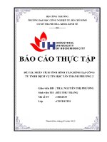 PHÂN TÍCH TÌNH HÌNH tài CHÍNH tại CÔNG TY TNHH DỊCH vụ TIN học tân THANH PHƯƠNG 2