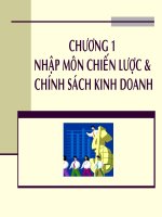 nhập môn chiến lược và chính sách kinh doanh