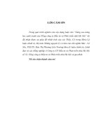 nâng cao năng lực cạnh tranh của tổng công ty đầu tư và phát triển nhà hà nội