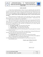 Thiết kế chi tiết khối thượng tầng, chân đế giàn hải sư đen