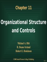 organizational structure