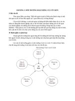 Môi trường hoạt động của tổ chức