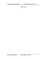 giải pháp đẩy mạnh quá trình tiêu thụ sản phẩm tại công ty cổ phần đầu tư và xuất nhập khẩu vẻ đẹp vàng