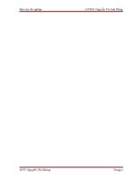 Kế toán tập hợp chi phí sản xuất và tính giá thành sản phẩm tại Công ty TNHH Bình Dương Chinh Long