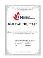 bài 2 GIẢI PHÁP NHẰM cải THIỆN TÌNH HÌNH tài CHÍNH tại CÔNG TY TNHH nội THẤT TĂNG ẢNH