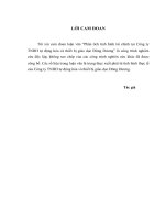 luận văn thạc sĩ phân tích tình hình tài chính tại công ty tnhh tự động hóa và thiết bị giáo dục đông dương (2)