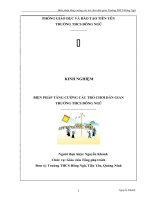 đề tài tổng phụ trách giỏi cấp tỉnh: Trò chơi dân gian