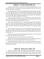 skkn phương pháp phân tích đa thức thành nhân tử