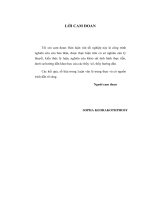 gỉai pháp hạn chế rủi ro tín dụng tại ngân hàng phát triển lào chi nhánh luông năm tha