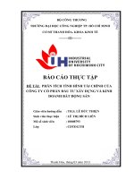 PHÂN TÍCH TÌNH HÌNH tài CHÍNH của CÔNG TY cổ PHẦN đầu tư xây DỰNG và KINH DOANH bất ĐỘNG sản