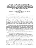 QUY tắc ỨNG xử của cán bộ, CÔNG CHỨC