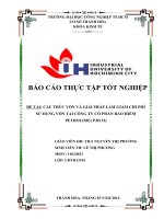 CẤU TRÚC vốn và GIẢI PHÁP làm GIẢM CHI PHÍ sử DỤNG vốn tại CÔNG TY cổ PHẦN bảo HIỂM PETROLIME( PJICO)
