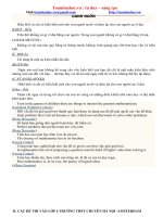 Tuyển tập các đề thi toán lớp 6 vào chuyên hà nội amsterdam