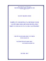 Nghiên cứu ảnh hưởng của chế phẩm vi sinh vật hữu hiệu emina đến sinh trưởng phát triển và năng suất của cà chua tại vĩnh phúc