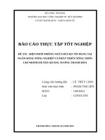 BIỆN PHÁP PHÒNG NGỪA rủi RO tín DỤNG tại NGÂN HÀNG NÔNG NGHIỆP và PHÁT TRIỂN NÔNG THÔN CHI NHÁNH HUYỆN QUẢNG XƯƠNG THANH hóa