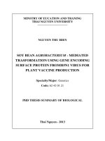 nghiên cứu chuyển gen mã hóa protein bề mặt của virus h5n1 vào cây đậu tương phục vụ sản xuất vaccine thực vậ bản tóm tắt tiếng anh