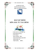 bài tập nhóm môn đầu tư tài chính xây dựng danh mục đầu tư chứng khoán hiệu quả