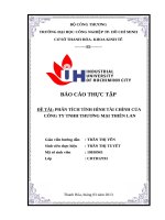 PHÂN TÍCH TÌNH HÌNH tài CHÍNH của CÔNG TY TNHH THƯƠNG mại THIÊN LAN