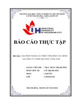 GIẢI PHÁP NHẰM cải THIỆN TÌNH HÌNH tài CHÍNH tại CÔNG TY TNHH nội THẤT TĂNG ẢNH