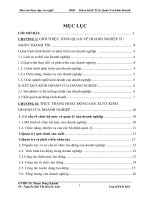 đánh giá thực trạng tổ chức bán hàng thong lĩnh vực quản trị marketing tại đoanh nghiệp tư nhân thành tín