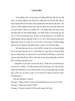 phân tích mô hình định giá tài sản vốn ( capm)