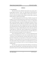 Chính sách cấm đạo của Mạc Phủ Tokugawa (Nhật Bản) nửa đầu thế kỷ XVII