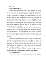 quản trị rủi ro trong hoạt động cho vay đầu tư tại ngân hàng phát triển việt nam