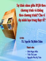 Tiểu luận môn quản trị học Sự khác nhau giữa Ra quyết định theo chương trình và không theo chương trình? Cho ví dụ minh họa trong thực tế?