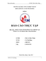 PHÂN TÍCH TÌNH HÌNH tài CHÍNH tại CÔNG TY cổ PHẦN BIA THANH HOA