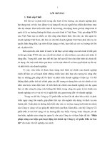 biện pháp nâng cao hiệu quả hoạt động tài chính tại công ty cổ phần đầu tư sao đỏ