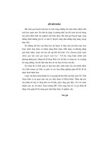 Các phương pháp ngẫu nhiên giải bài toán quy hoạch toán học