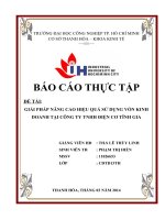 GIẢI PHÁP NÂNG CAO HIỆU QUẢ sử DỤNG vốn KINH DOANH tại CÔNG TY TNHH điện cơ TĨNH GIA