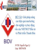 Giải pháp nâng cao hiệu quả marketing cho nghiệp vụ huy động vốn của NHTMCP đầu tư và phát triển thanh hóa