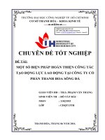 MỘT số BIỆN PHÁP HOÀN THIỆN CÔNG tác tạo ĐỘNG lực LAO ĐỘNG tại CÔNG TY cổ PHẦN THANH HOA SÔNG đà