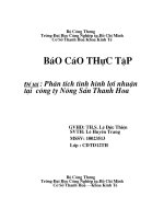 Phân tích tình hình lợi nhuận tại  công ty nông sản thanh hoa