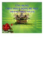 Đề tài ứng dụng chất hoạt động bề mặt trong thực phẩm