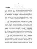 hành vi ngôn ngữ thề (swear) trong tiếng việt bản tóm tắt tiếng anh
