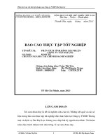 PHÂN TÍCH TÌNH HÌNH lợi NHUẬN CÔNG TY tân đại lộc